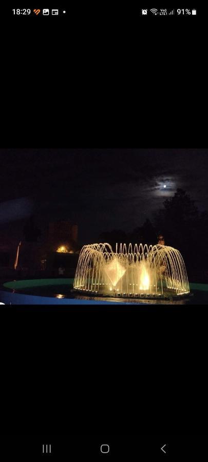Bed and Breakfast Casa Cojocaru Turnu Măgurele Zewnętrze zdjęcie